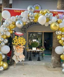 CỔNG BONG BÓNG B15